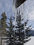 icicles on a background of a winter landscape in canada