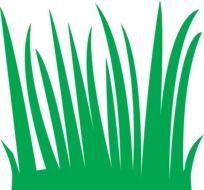 graphic image of high green grass