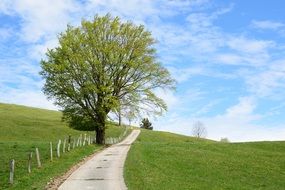 away road between green field horizon sky tree