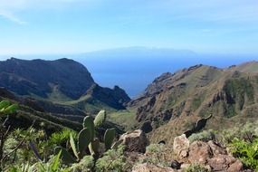 la reptiles canary islands