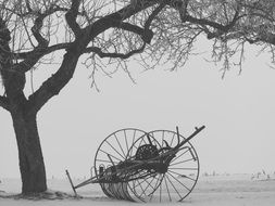 hay tedders in winter