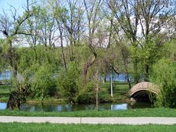 Beautiful landscape with trees among the water