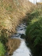 landscape of ditch with water