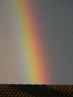 magnificent rainbow