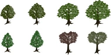clipart of forest trees