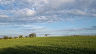 photo of green arable land