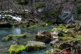 stream creek water