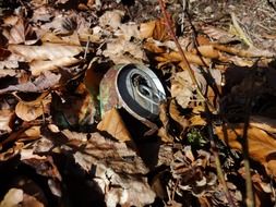 rusty can at fallen leaves