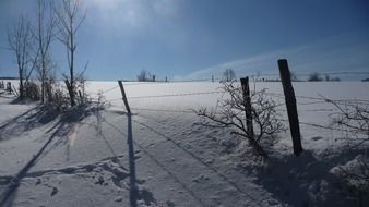 snowy landscape in the glare of the sun