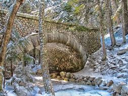 stone bridge in a forest in Maine