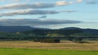 green meadow in rural Australia