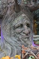 tree face nature plant