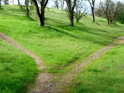 hiking trail on hill side