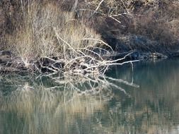 scenic river in spring