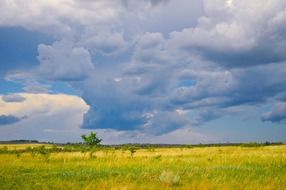 bright green meadow under a cloudy sky