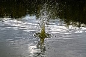 water splash in the lake