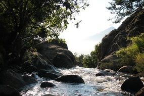 Rocks in the stream
