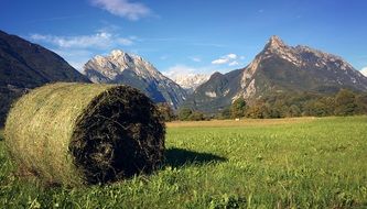 hay bale on a meadow, slovenia