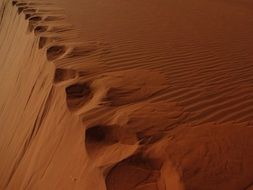 landscape of footprints on red sand in Africa