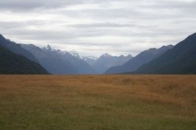 autumn meadow on a background of foggy mountains