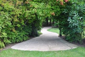 Green an ornamental garden