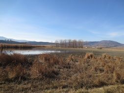 Lake Lisi in Tbilisi