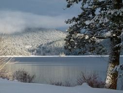 winter landscape near the lake