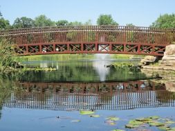 bridge over the lake in the park