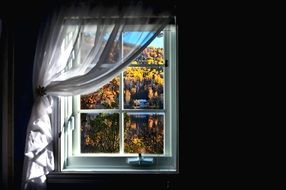 view of the autumn forest through the window