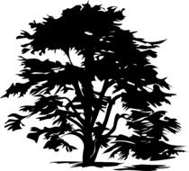 Black drawing of a tree on a white background