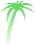 palm tree green silhouette drawing