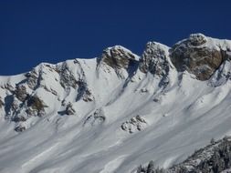 snowy black horn