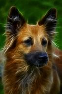 dog digital art drawing