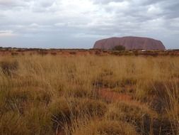 scenic ayers rock in australia
