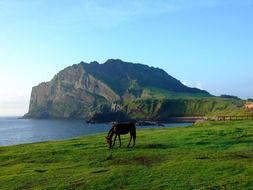 scenery of the south korean province jeju