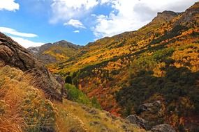 panorama of mountains in autumn colors in nevada