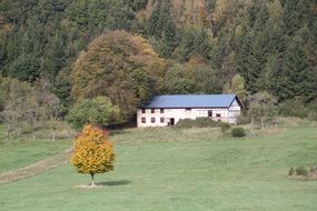 panoramic view of a farm amid scenic nature at eifel