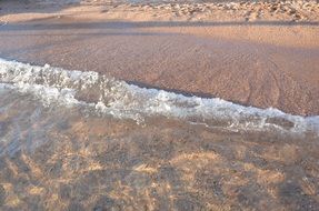 clear sea water at sand beach, egypt, sharm al-sheikh