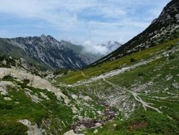 Beautiful hiking trail with plants in the mountains in Monte Colombo