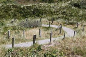 path along the dunes of the north sea