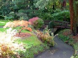 wooden bridge in the japanese garden