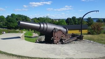 Cannon in the park
