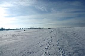 traces on snow under blue sky