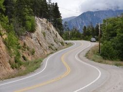 Winding road near the trees