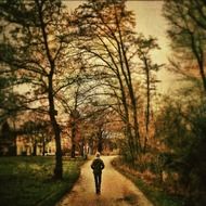 man walking alone in the park