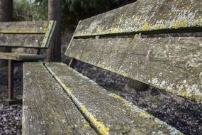 Old wooden bench in a park