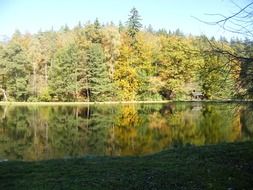 Reflection of the beautiful and colorful autumn forest in the pond