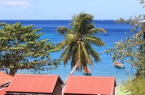 Houses on Martinique island
