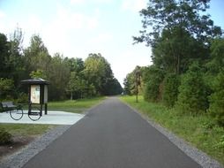 road near the forest in new york