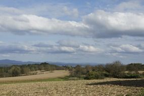 fields under the sky with white clouds